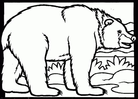 Free printable coloring pages for kids, coloring pages for adults, animals coloring pages, sport car coloring pages, cartoon coloring pages. American Black Bear Coloring Page - Coloring Home