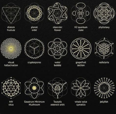 Pin By Master Therion On Geometry Sacred Geometry Patterns Sacred