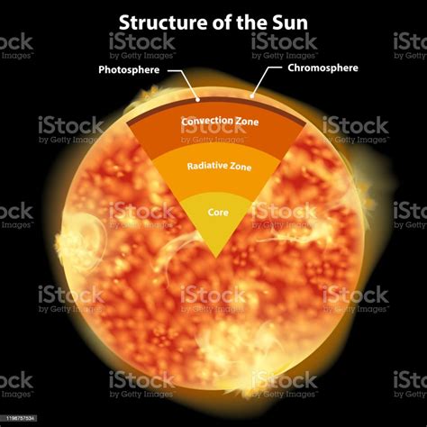 Ilustración De Diagrama Que Muestra La Estructura Del Sol Y Más