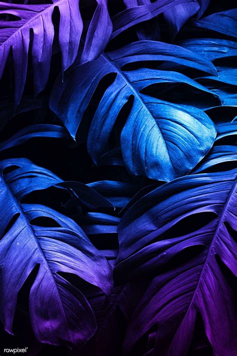 Neon Leaves Wallpapers Top Free Neon Leaves Backgrounds Wallpaperaccess