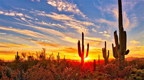 The Ultimate 10 Day Arizona Road Trip Itinerary