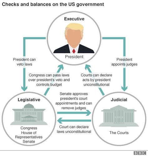 what section is checks and balances in the constitution