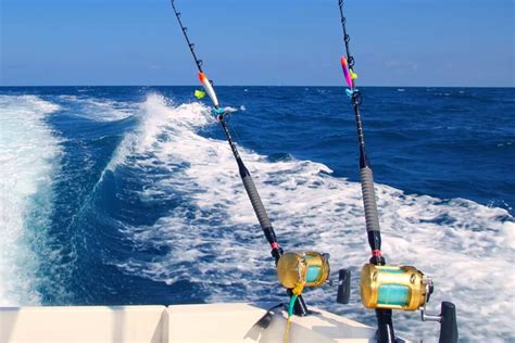 The 5 Best Saltwater Fishing Rods In 2021 By Experts