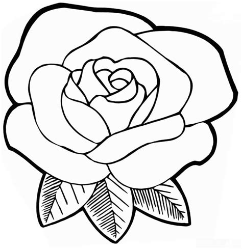 Desenho De Rosas Para Colorir Imagens Para Imprimir Artesanato