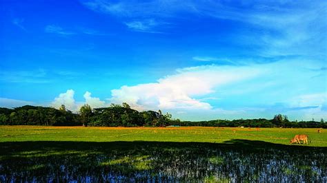 You can also upload and share your favorite 4k phone hd wallpapers. Page 3 | bangladesh 1080P, 2K, 4K, 5K HD wallpapers free ...