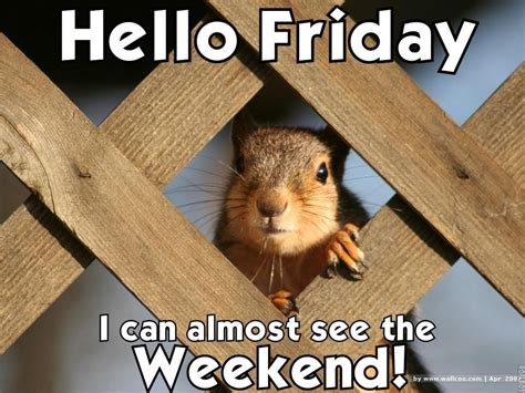Hello Friday I Can Almost See The Weekend Pictures Photos And Images
