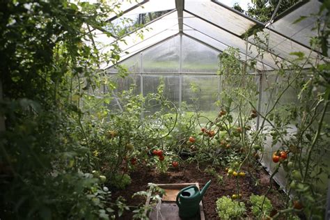Garden room with spa and greenhouse. How to Build a Backyard Greenhouse for Year-Round Gardening | Global Garden Friends, Inc.