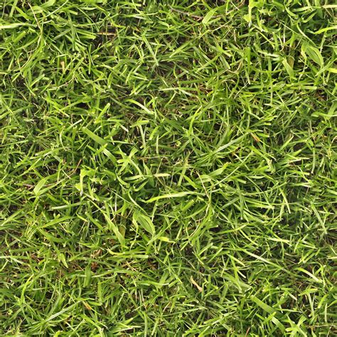 Grass Textures Plant Texture Seamless Textures
