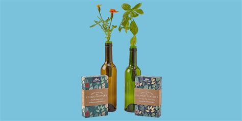 This 22 Kit Turns Your Empty Wine Bottles Into An Herb Garden