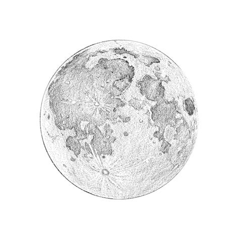 Phase De Pleine Lune Style De Croquis Dillustration Image De Pleine