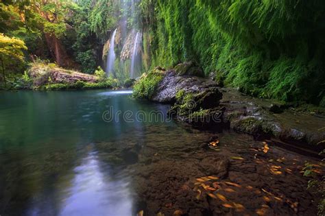 Leaves In An Emerald Lake With Stunning Waterfalls In Deep Green Forest