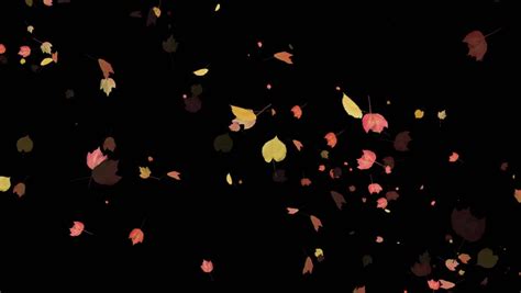 Bring your texts and messages to life with our collection of giphy stickers. Autumn Leaves - Spurt - 1 - Alpha - Animated Transition Of ...