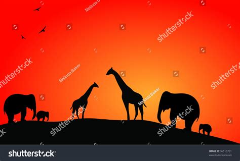 African Safari Sunset Stock Vector Illustration 36515701 Shutterstock