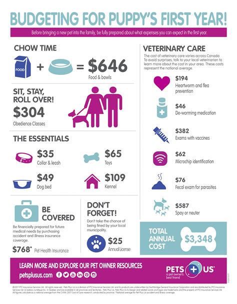 The Cost Of Owning A Puppy Puppy Infographic Puppies New Puppy