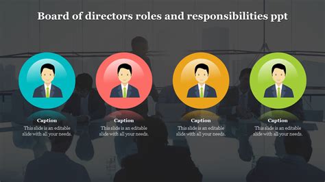 Professional Board Of Directors Roles And Responsibilities Ppt