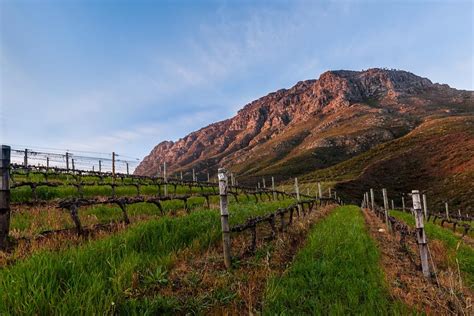 Media Downloads Thelema Mountain Vineyards
