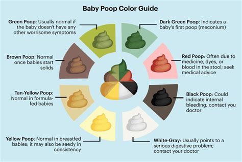 Baby Poop Colors Types And Frequency