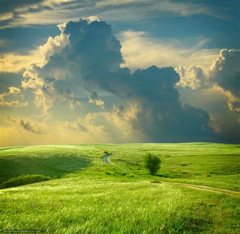 Summer Landscape With Green Grass Road And Clouds Beautiful Nature