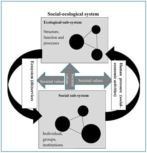 Sustainability Free Full Text A Systemic Relational Ethical