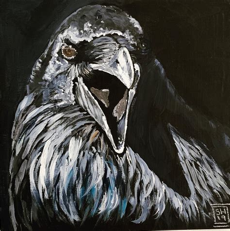 Raven Painting By Suzanne Hirschberg Fine Art America