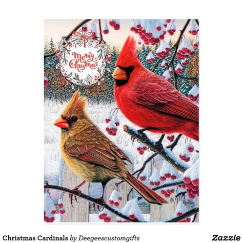 Christmas Cardinals Postcard Bird Graphic Art Kits Bird