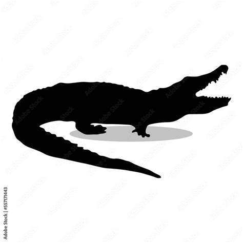 Alligator Silhouette Cute Alligator Bird Vector Silhouette Cute