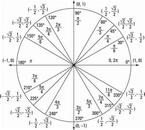 Circular Functions Precalculus Math Methods Studying Math