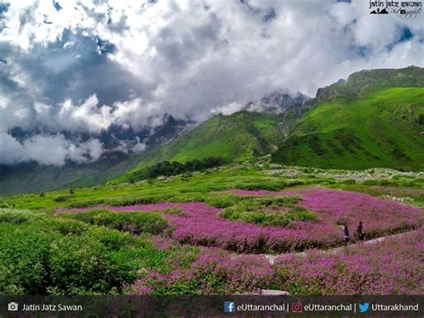 Valley Of Flowers Trek Best Uttarakhand Treks Offbeat Travel