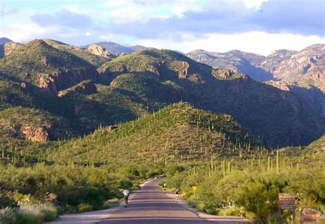 Sabino Canyon Recreation Area Arizona Tickets And Tours 2024