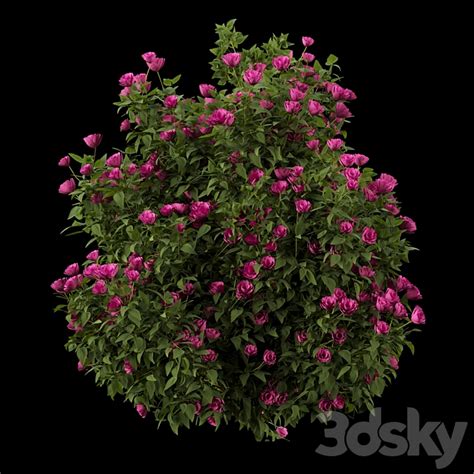 Collection Flowering Bush Vol 4 Bush 3d Model