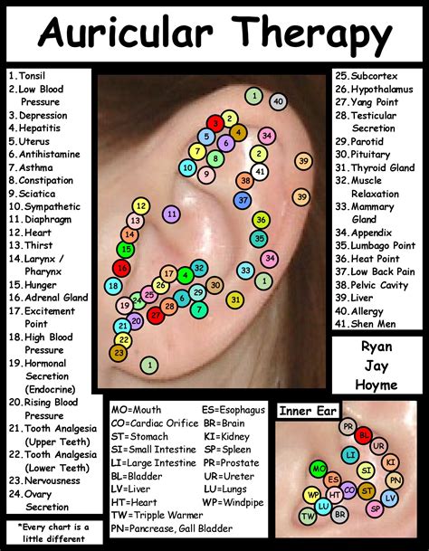Ear Seeds Acupressure Points Chart