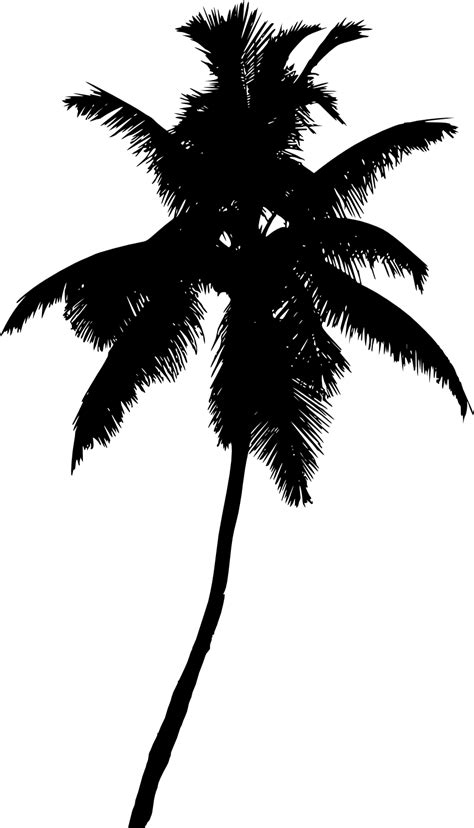 This palm tree silhouette will help you to design awesome nature designs. 20 Palm Tree Silhouette (PNG Transparent) Vol. 2 | OnlyGFX.com
