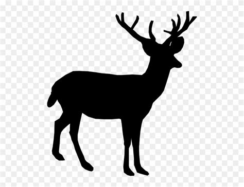 Clipart Of Deer 10 Free Cliparts Download Images On Clipground 2023