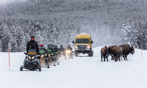 Yellowstones Winter Season Kicks Off Explore Big Sky