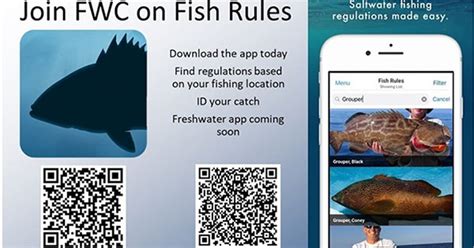 Recommendations for dating app companies. Fishing Facts At Your Fingertips | BoatUS
