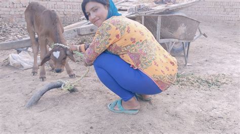 a desi girl getting introduce to her village pakistan punjab culture desi routine village