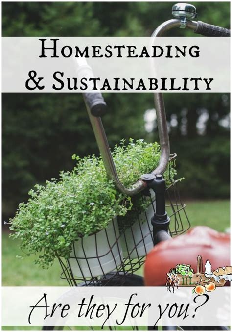 Homesteading And Sustainability Are You In Homestead Lady