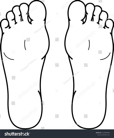 Left Right Foot Soles Vector Outline เวกเตอร์สต็อก ปลอดค่าลิขสิทธิ์