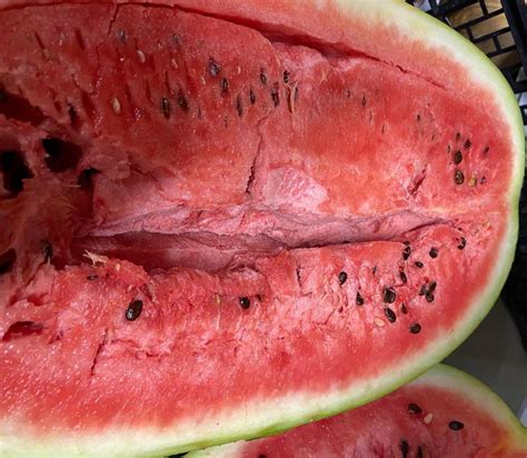 Watermelon Importer London Hollow Heart Watermelons