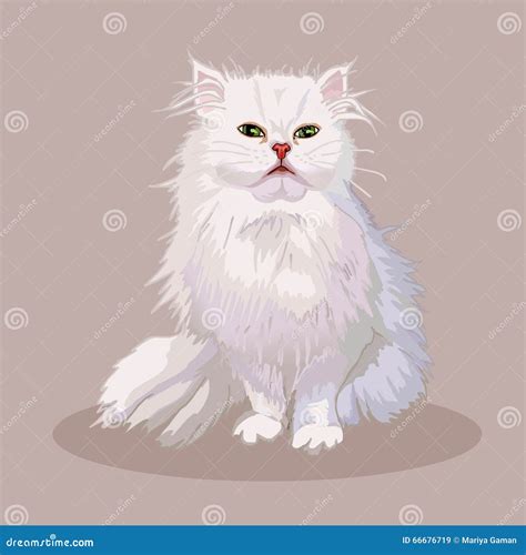Persian Cat Breed Primitive Cartoon Illustration
