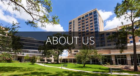 About Us Brazos Towers At Bayou Manor