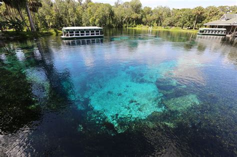 Dive Into These 6 Natural Springs In Florida Florida Beyond