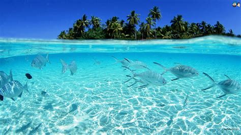 Aquatic Hd Wallpapers Most Beautiful Places In The World Download