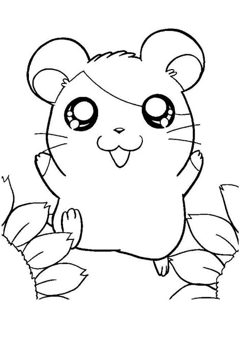 Hamster Fofo Sentado Para Colorir Imprimir E Desenhar Colorir Me