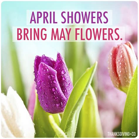 bright  happy spring cards  share