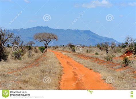Savannah Landscape In The National Park Of Kenya Stock Image Image Of