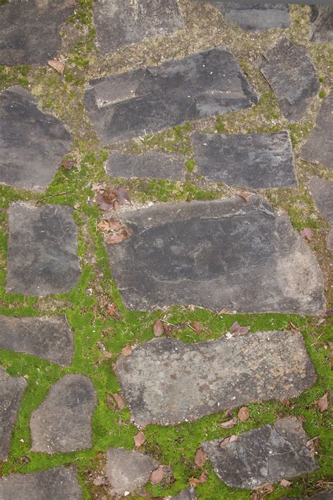 Stone Path Pavers And Moss Background Free Textures Photos
