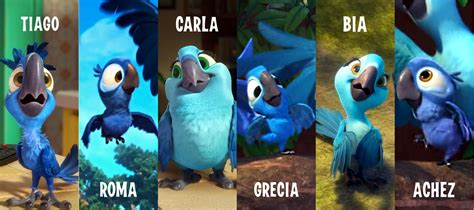Image The Little Spixs Macaws Rio Wiki