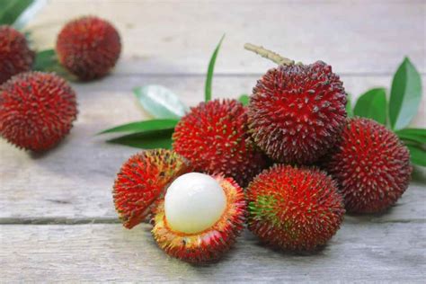 18 Exotic Asian Fruits To Try On Your Next Trip To The Region Or Grocer