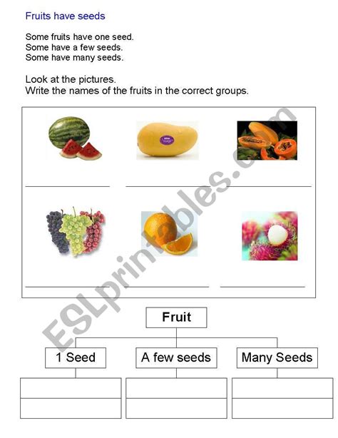 English Worksheets Fruits Have Seeds